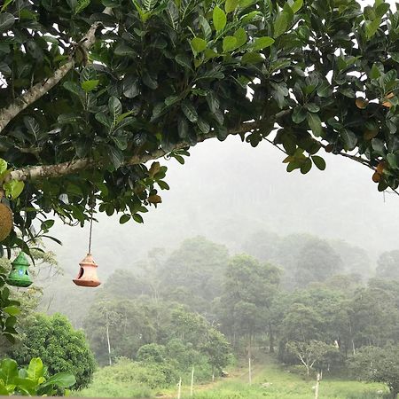 Quartos Dossel - Sitio Belo Monte Acomodação com café da manhã Pacoti Exterior foto