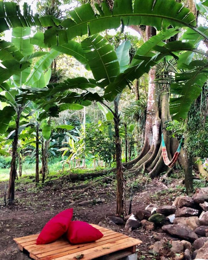 Quartos Dossel - Sitio Belo Monte Acomodação com café da manhã Pacoti Exterior foto