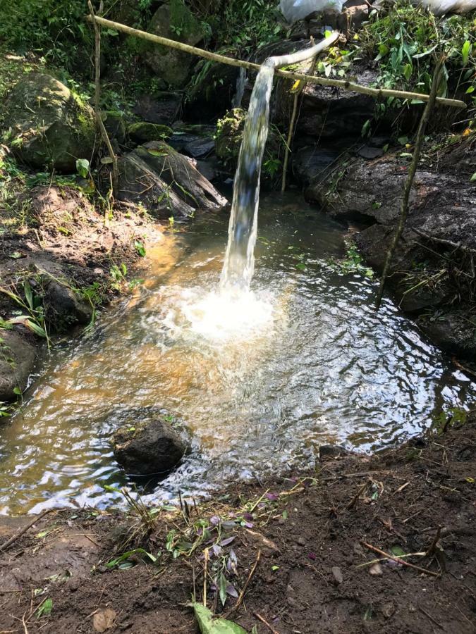 Quartos Dossel - Sitio Belo Monte Acomodação com café da manhã Pacoti Exterior foto