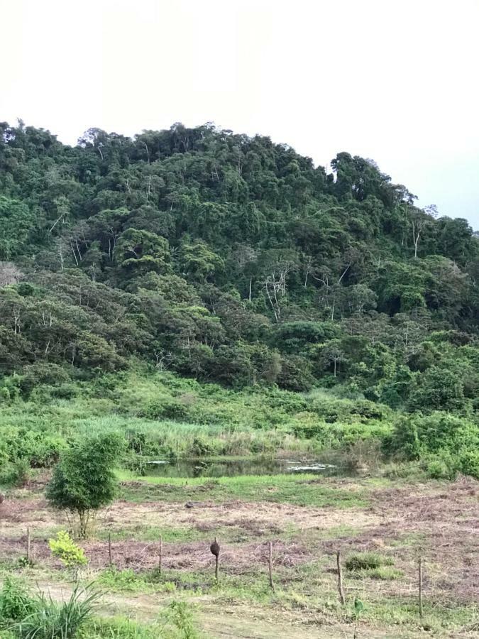 Quartos Dossel - Sitio Belo Monte Acomodação com café da manhã Pacoti Exterior foto